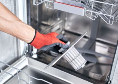 moldy dishwasher