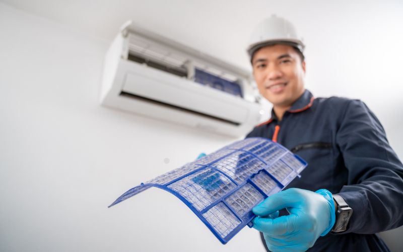 DIY vs Professional Mold Removal from Air Conditioners
